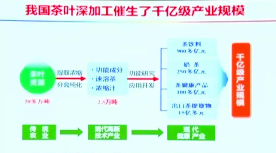 国茶业健康发展的思考AG真人游戏平台中(图2)